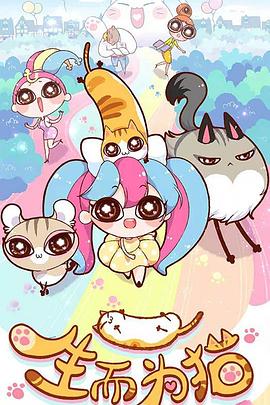 河南seo外包哪家好